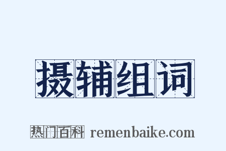 摄辅组词是什么意思的图片